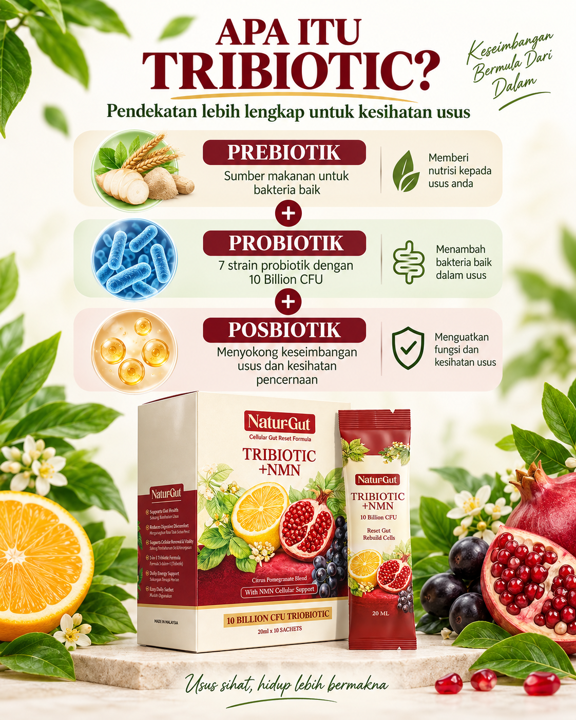 Apa itu Tribiotic Naturgut