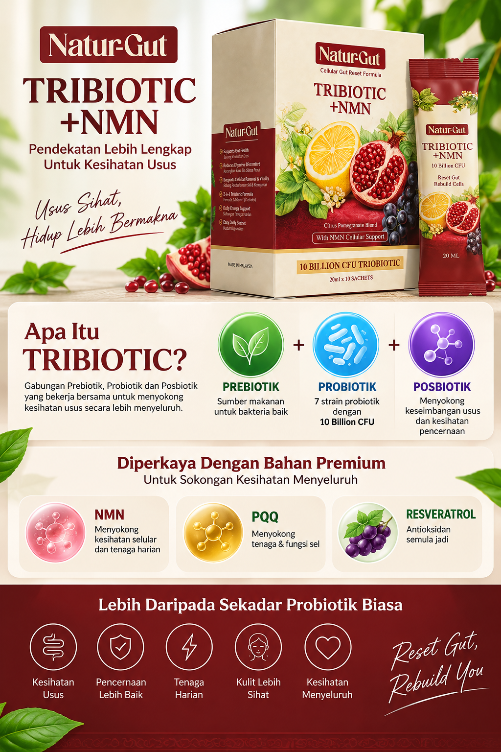 Bahan dalam Naturgut Tribiotic
